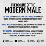 Load image into Gallery viewer, Modern Male

